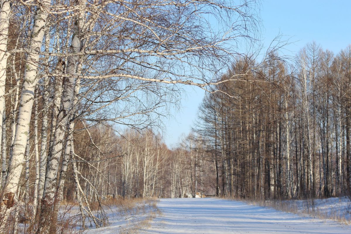 На Ставрополье водителей предупредили об опасности на дорогах из-за непогоды На Ставрополье водителей предупредили об опасности на дорогах из-за непогоды