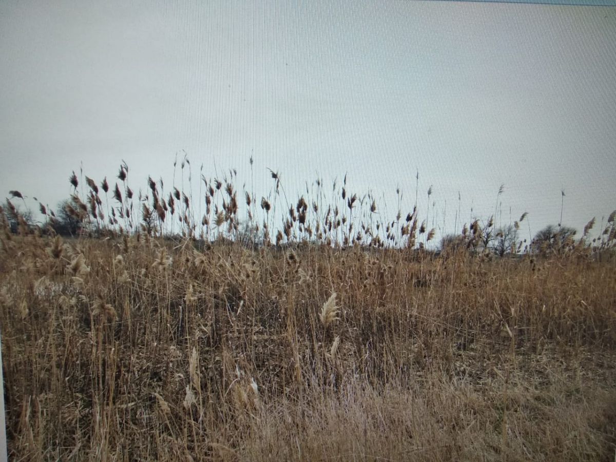 На Ставрополье в реке нашли тело девушки