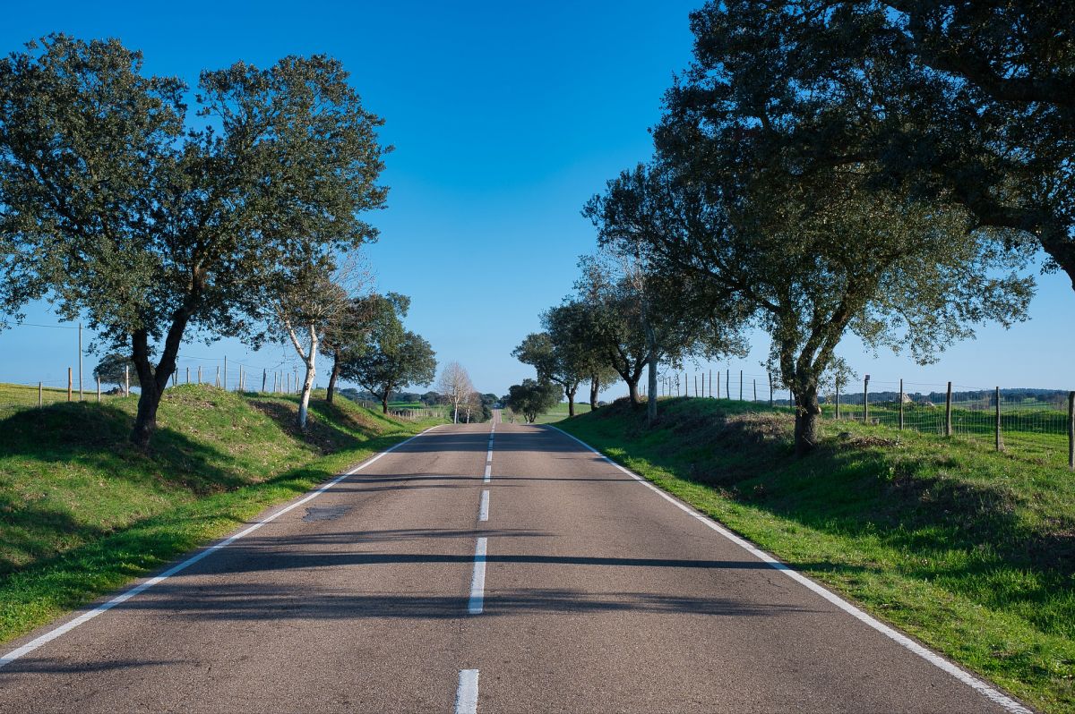 В Шпаковском районе обновят почти 33 км дорог В Шпаковском районе обновят почти 33 км дорог