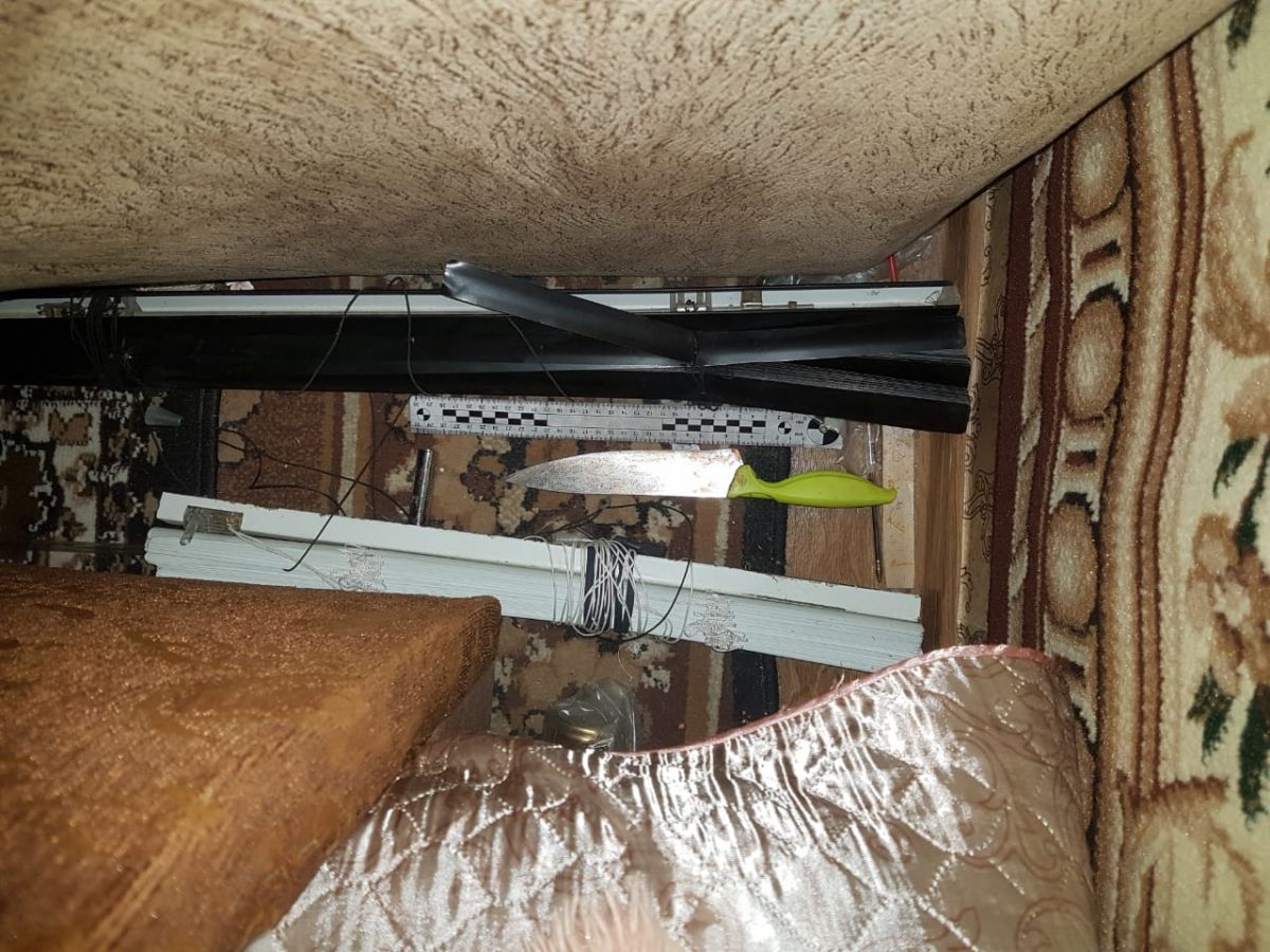 В Кисловодске 14-летняя внучка убила свою бабушку В Кисловодске 14-летняя внучка убила свою бабушку