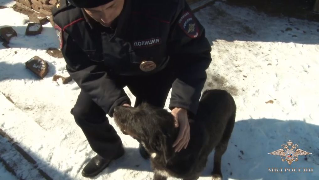 На Ставрополье участковый задержал мужчину, стрелявшего в собаку