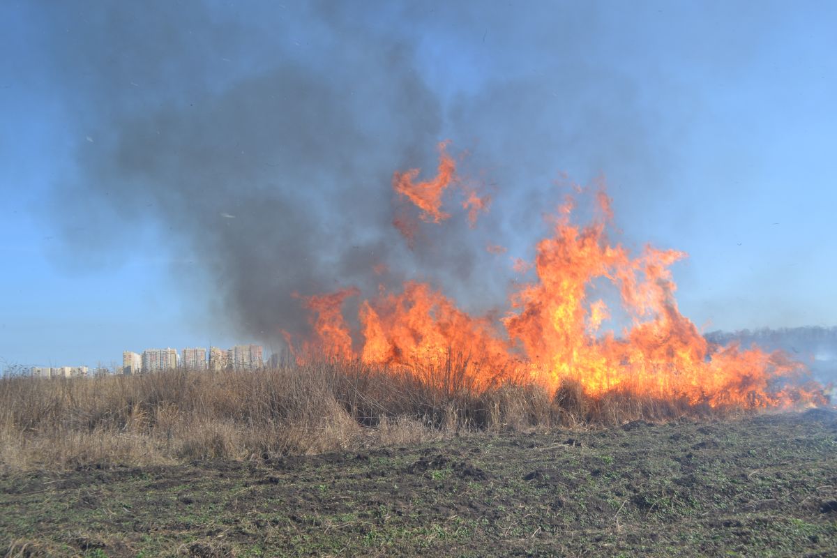 Виновников крупного пожара ищут в Ставрополе
