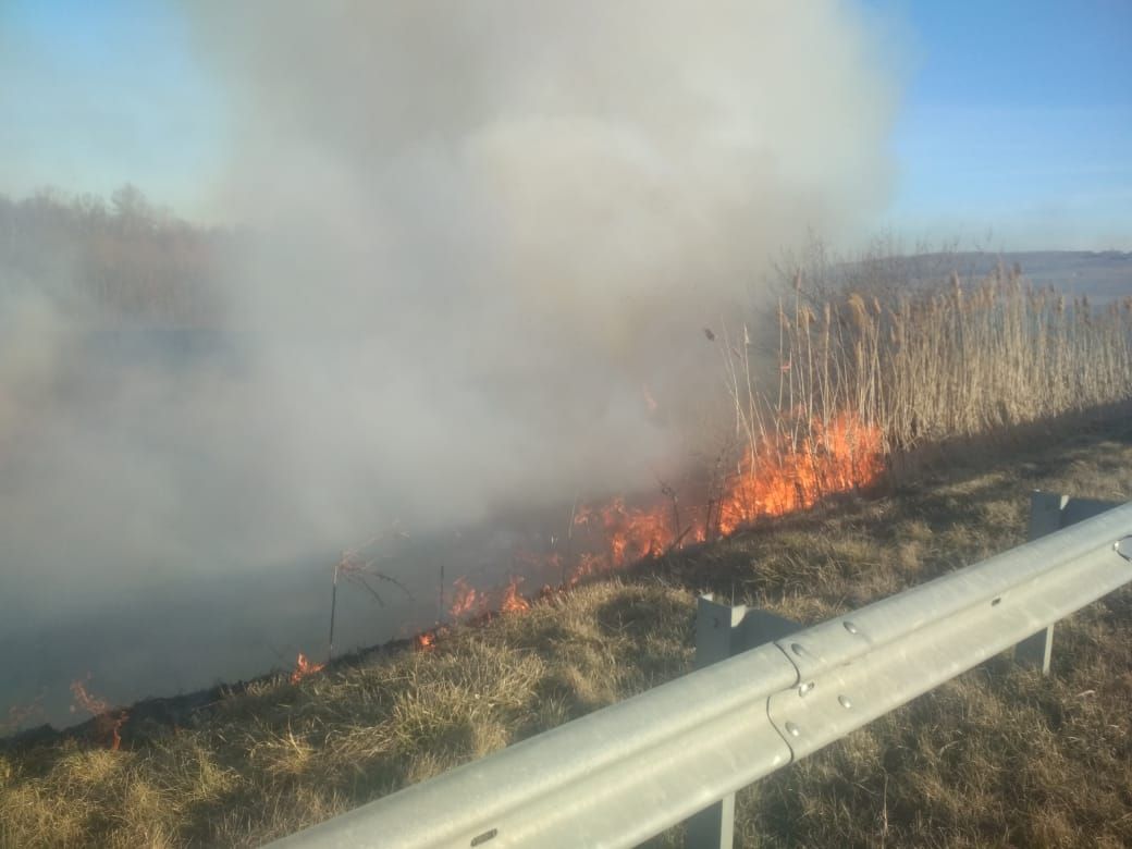 Ставропольские спасатели за сутки 18 раз выезжали на тушение сухой травы Ставропольские спасатели за сутки 18 раз выезжали на тушение сухой травы