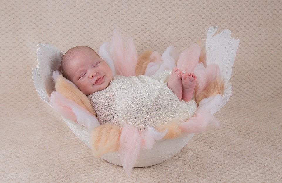 Как получить выплату на первенца в Ставрополе Как получить выплату на первенца в Ставрополе