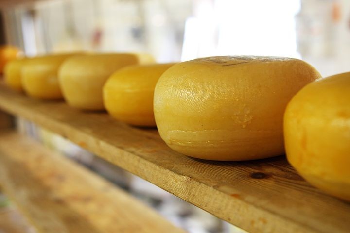 В сыре ипатовского производителя нашли растительные жиры В сыре ипатовского производителя нашли растительные жиры