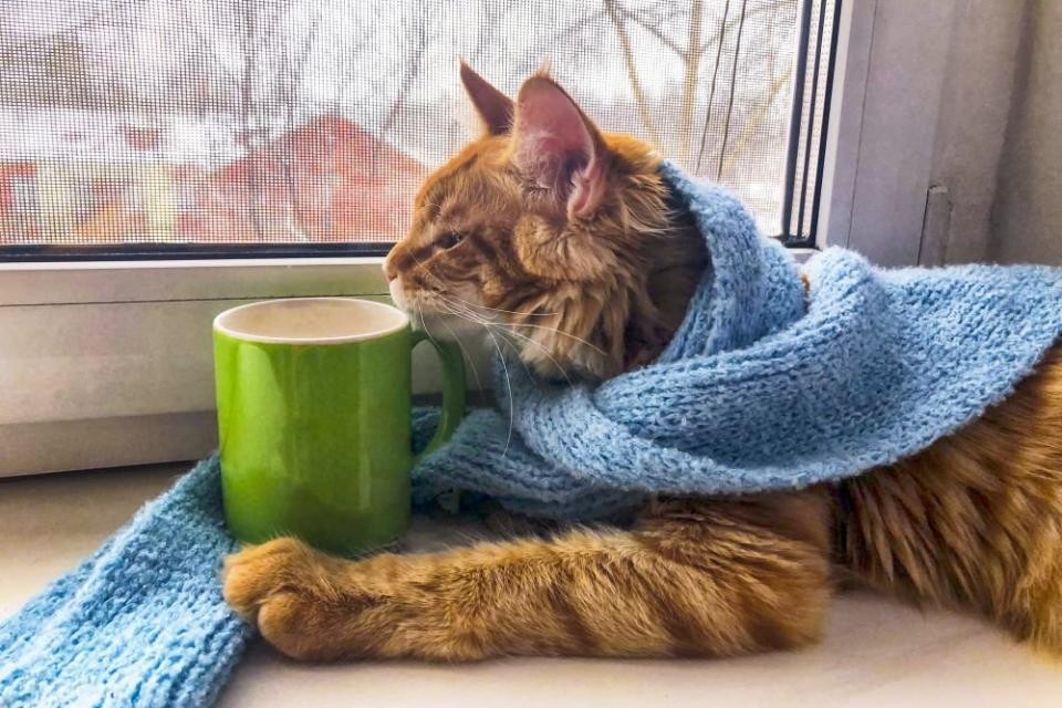 В России продлили нерабочую неделю В России продлили нерабочую неделю