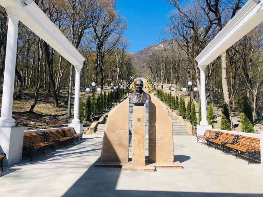 В Железноводске вандалы выкопали редкие растения