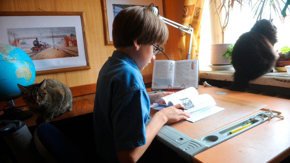 275 тысяч школьников Ставрополья подключились к онлайн-платформам