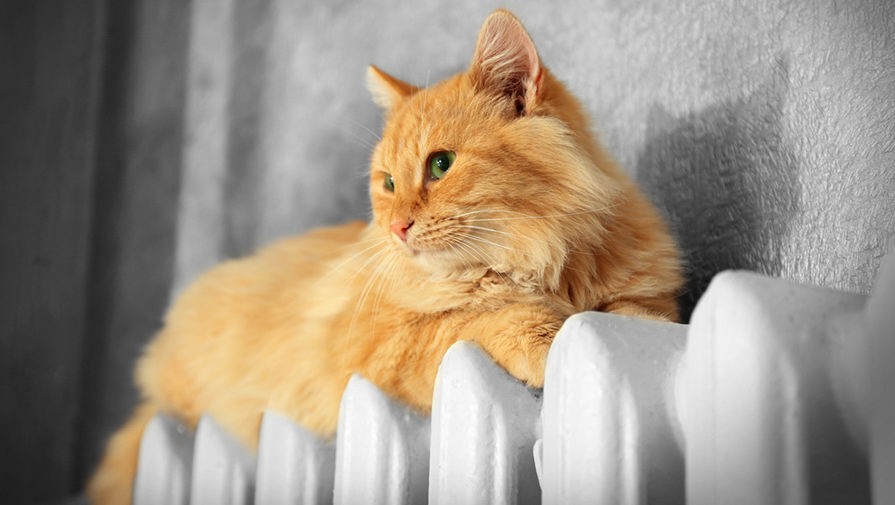 В Ставрополе продлят отопительный сезон В Ставрополе продлят отопительный сезон