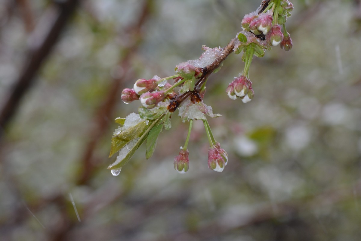 Штормовое предупреждение объявило МЧС на Ставрополье Штормовое предупреждение объявило МЧС на Ставрополье