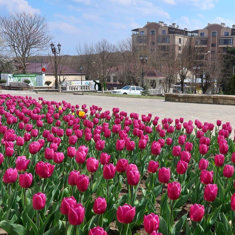 В Железноводске стало чище на 70%