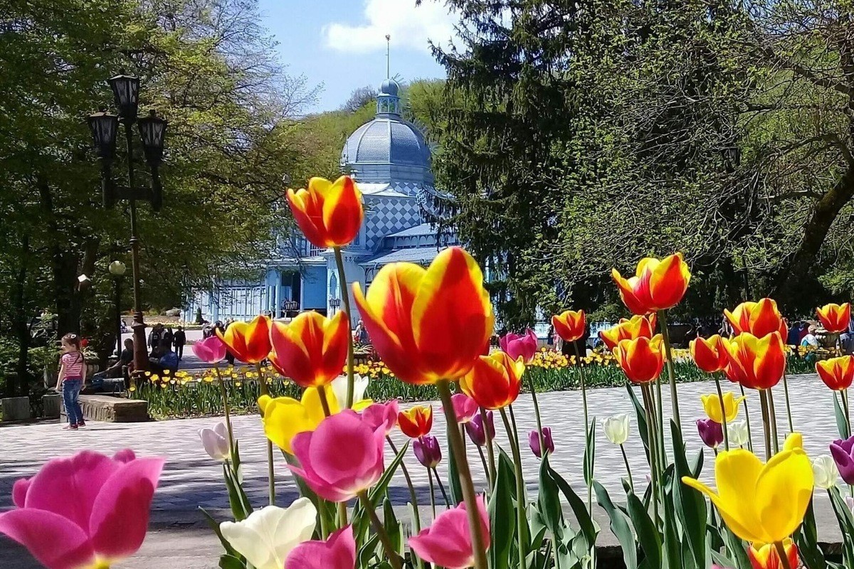 Цветочный календарь в Железноводске оформят в символике Великой Победы Цветочный календарь в Железноводске оформят в символике Великой Победы