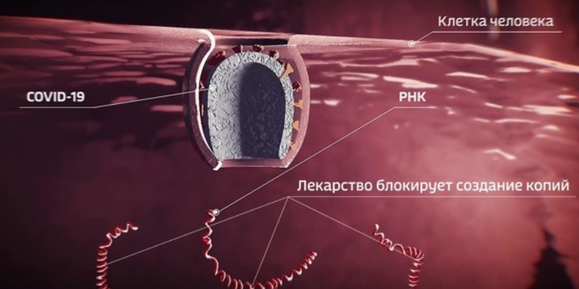 В России выпустили первый мощный препарат от COVID-19