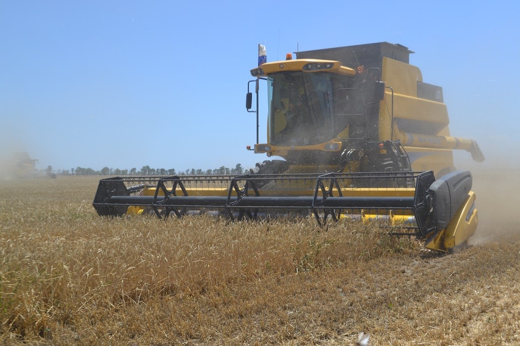 В Степновском районе собрали более 30% урожая зерновых