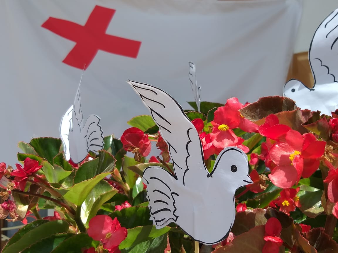 На Ставрополье памяти военных медиков посвятили акцию «Голубь мира»