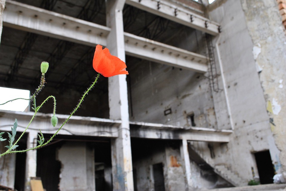 Предпринимателя из Ставрополя могут наказать за падение работника с высоты Предпринимателя из Ставрополя могут наказать за падение работника с высоты