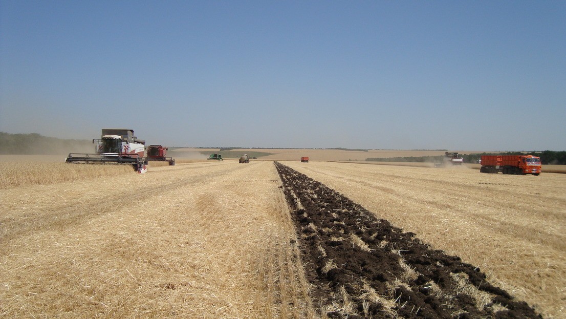 На Ставрополье огонь уничтожил 445 га зерновых культур