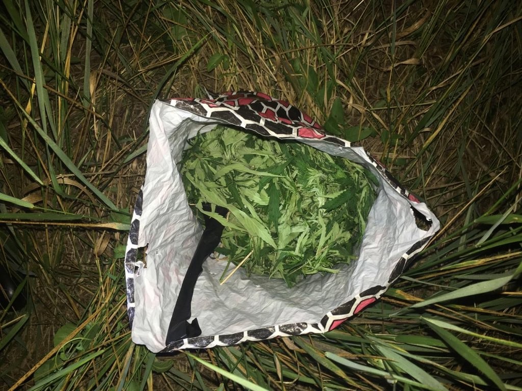 Полицейские Ставрополья поймали молодого человека с наркотиками Полицейские Ставрополья поймали молодого человека с наркотиками