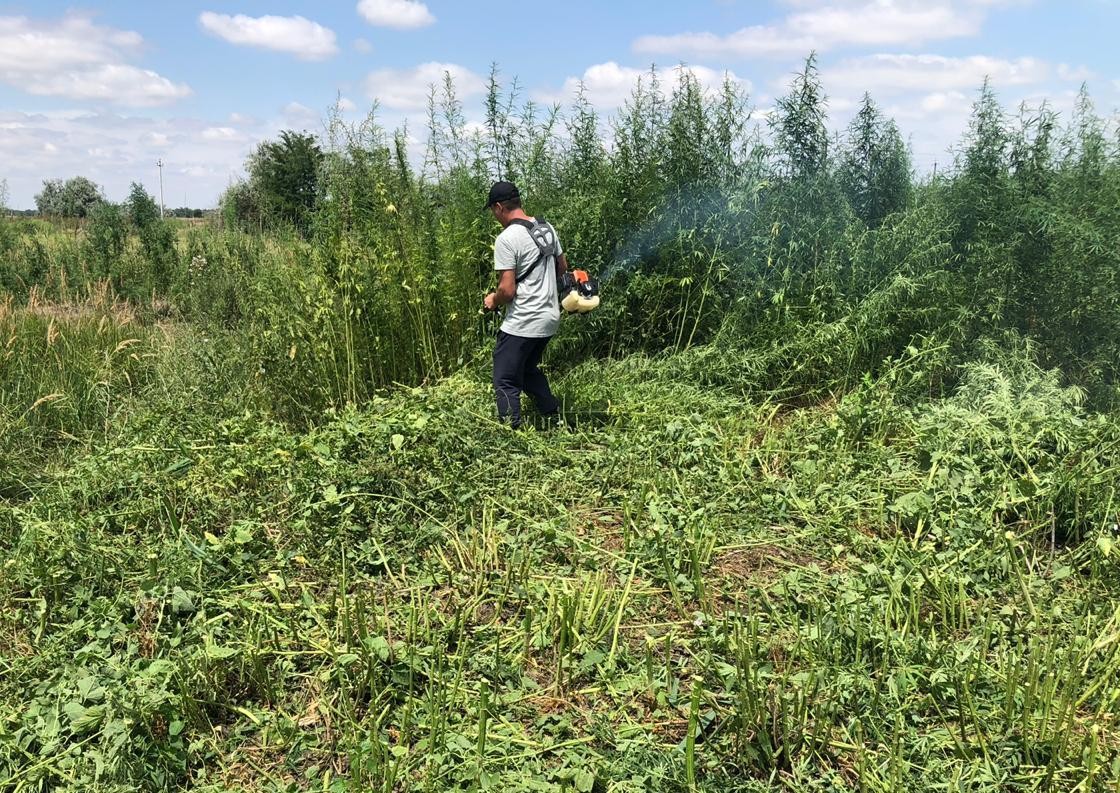 Второй этап операции «Мак-2020» завершился на Ставрополье