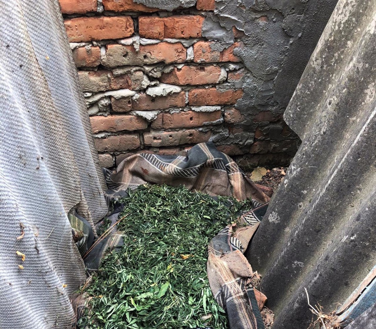 Полицейские Ставрополья пресекли деятельность наркопритона