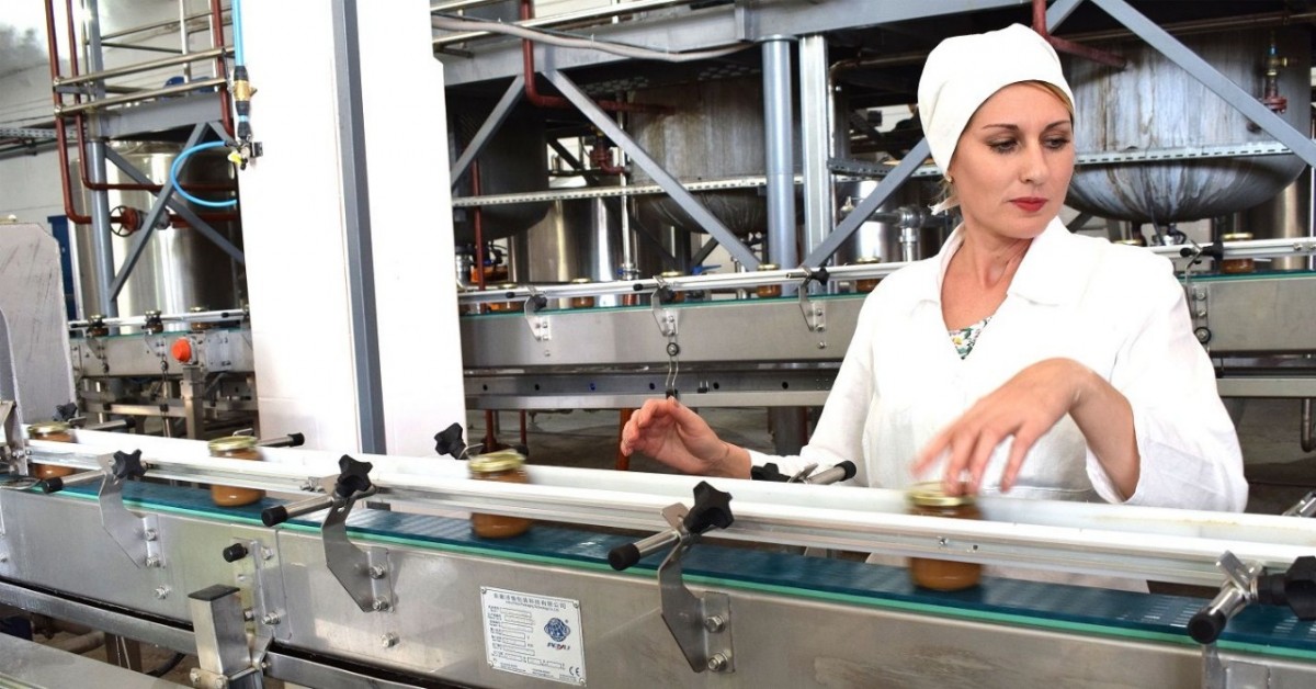 На Ставрополье завод выпустил полмиллиона банок консервированных кабачков