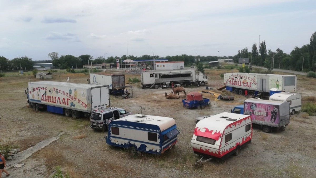 Передвижной цирк застрял на Ставрополье из-за пандемии - АТВмедиа