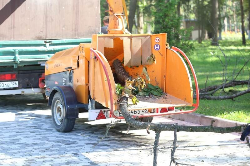 Добровольцы Пятигорска расчистили территорию парка Победы