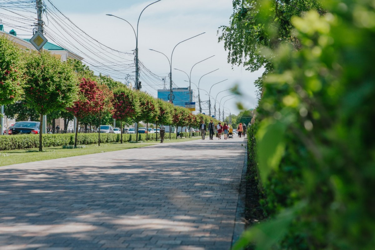 Более 7 тыс. деревьев высадили в Ставрополе Более 7 тыс. деревьев высадили в Ставрополе