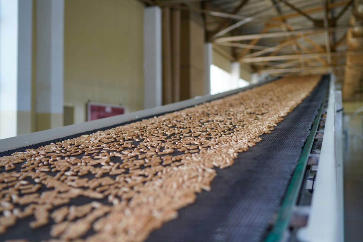 В Невинномысске открыли новую производственную линию кондитерской фабрики В Невинномысске открыли новую производственную линию кондитерской фабрики