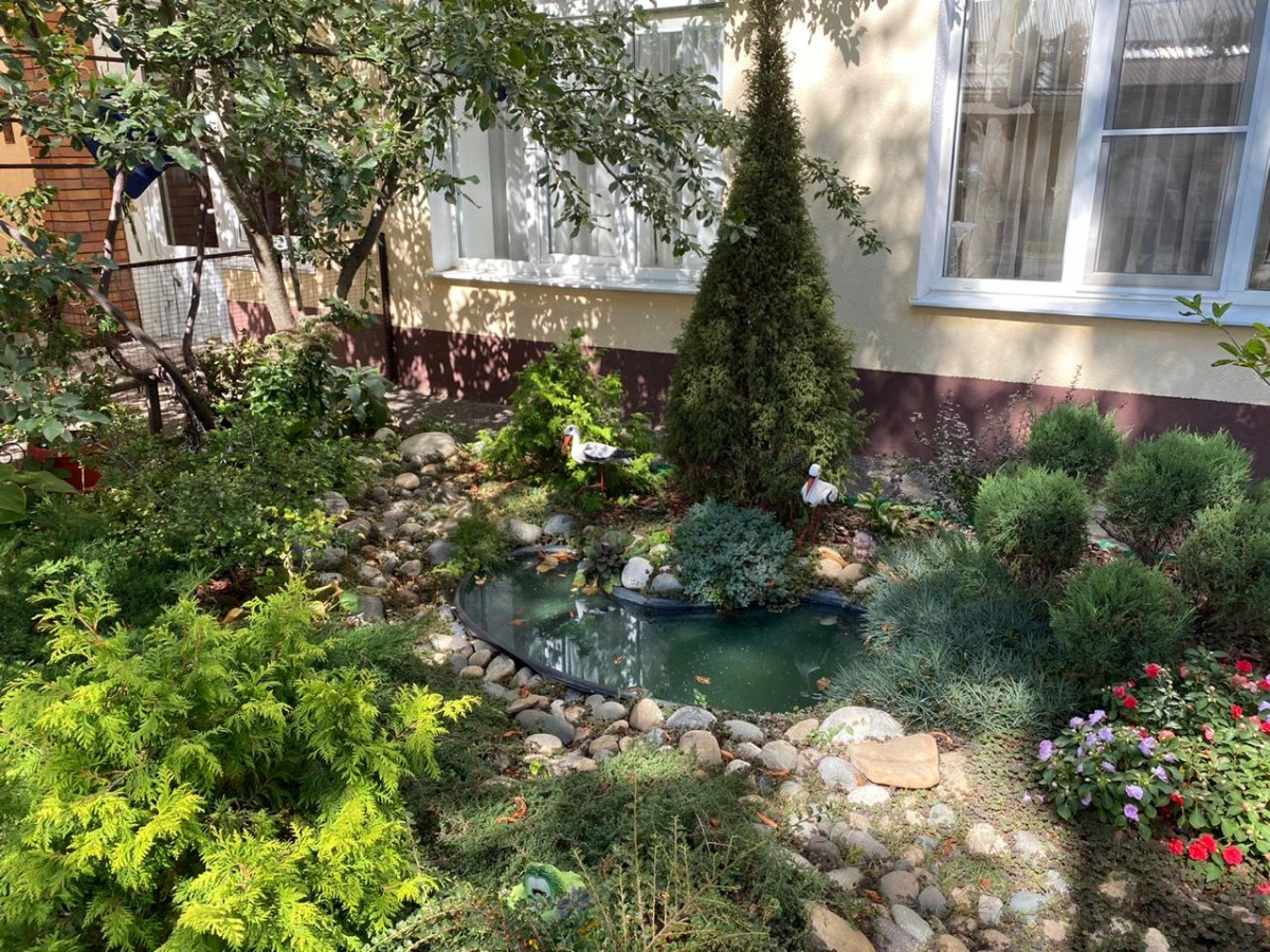 В Ставрополе выбрали лучшие городские цветники