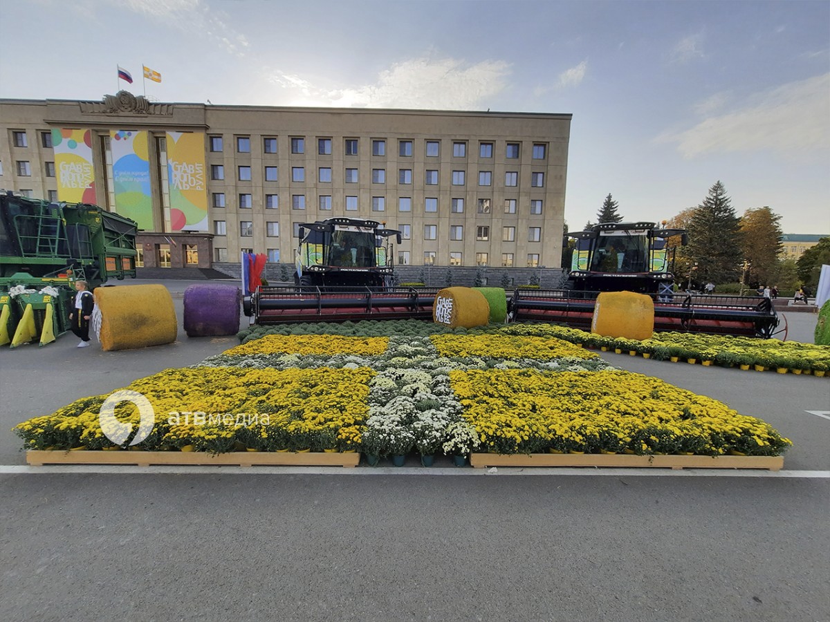Флаг Ставрополья из хризантем выложили на площади в День края