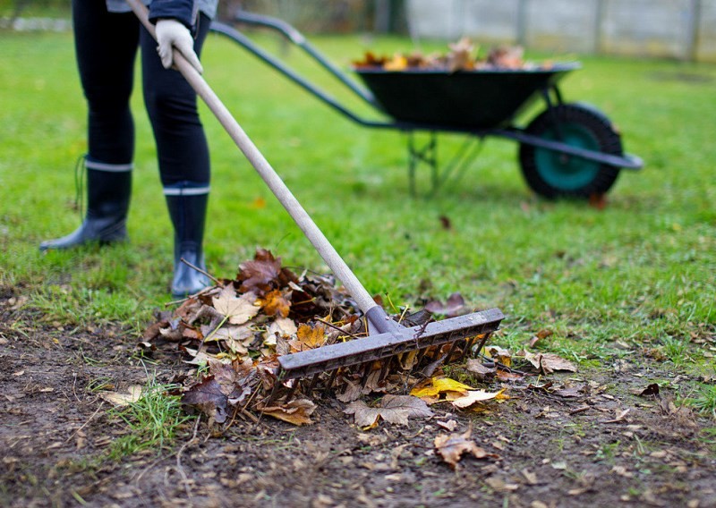 Ставропольцам рассказали, что делать с опавшей листвой и ветками Ставропольцам рассказали, что делать с опавшей листвой и ветками