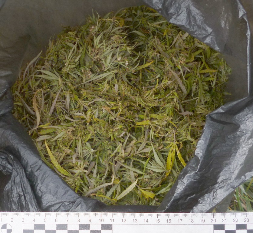 Полицейские Ставрополья задержали 42-летнего наркомана