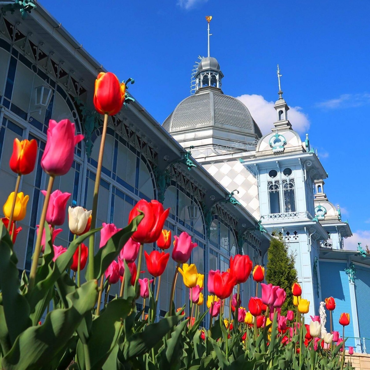 На Ставрополье создадут первый Музей теней На Ставрополье создадут первый Музей теней