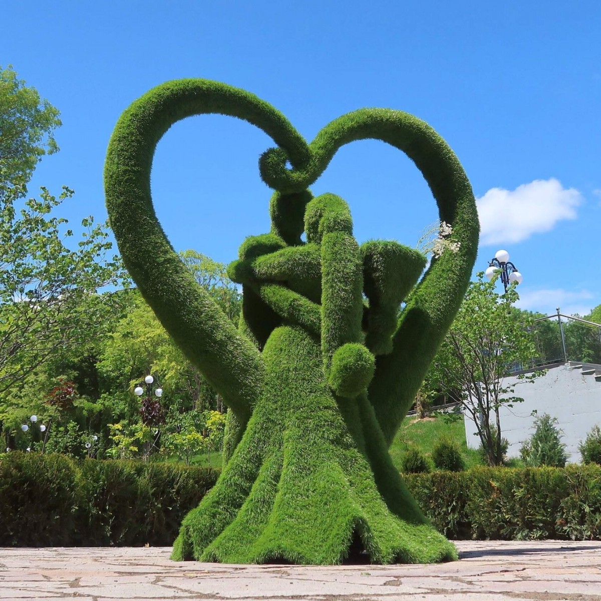 В Железноводске на Каскадной лестнице заменят неприжившиеся деревья