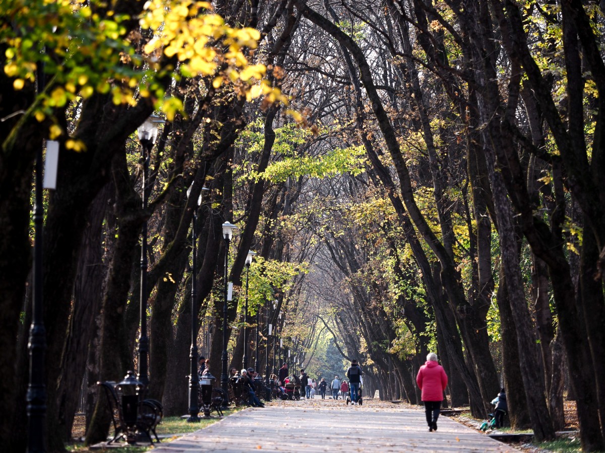 Проект обновления озера в Ессентуках проработают в Минэкономразвития РФ Проект обновления озера в Ессентуках проработают в Минэкономразвития РФ