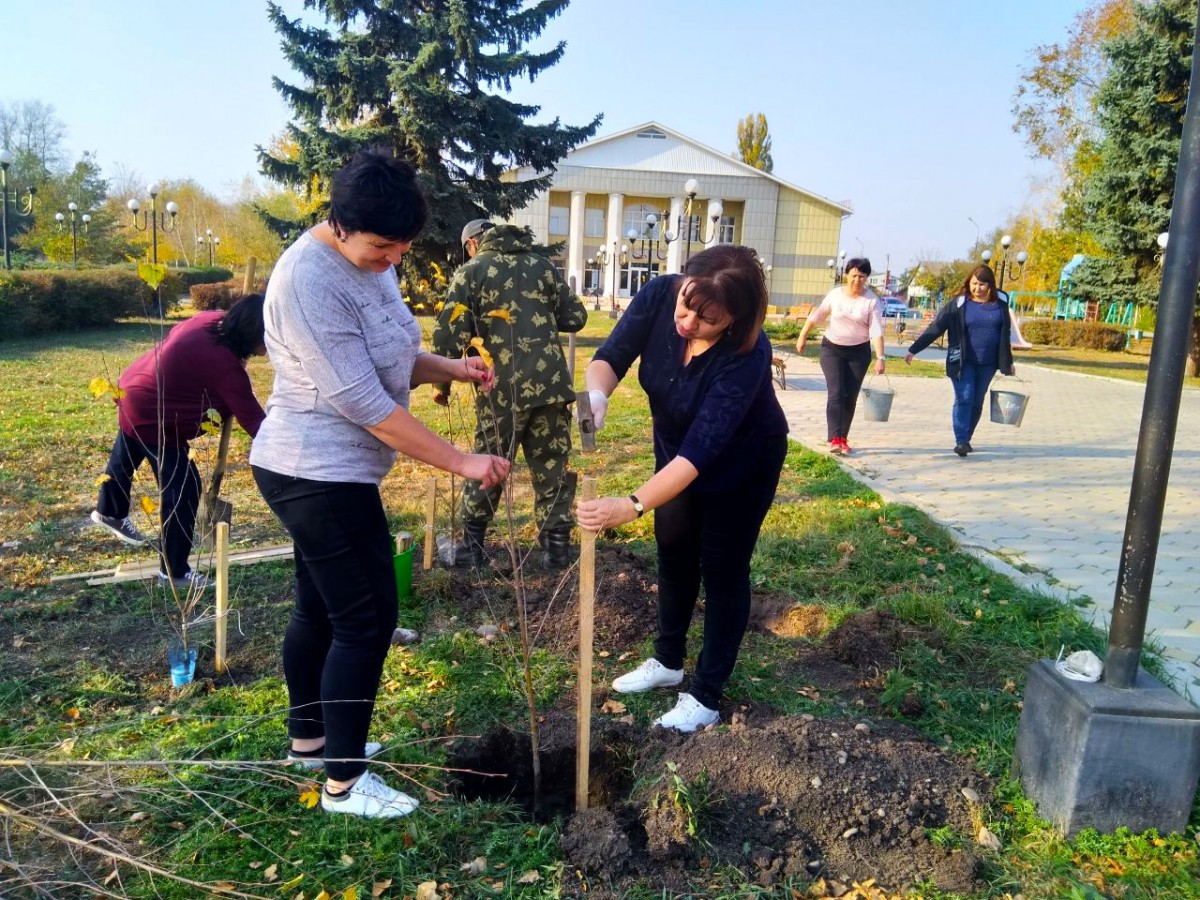Житель Австралии инициировал озеленение территории на Ставрополье