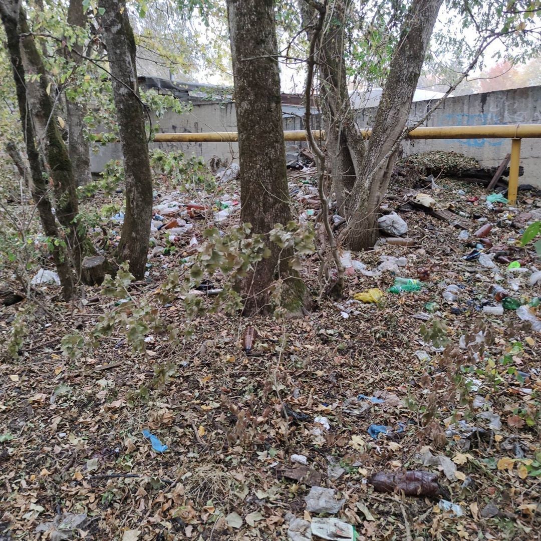 Лес в окрестностях Ставрополя превратили в свалку