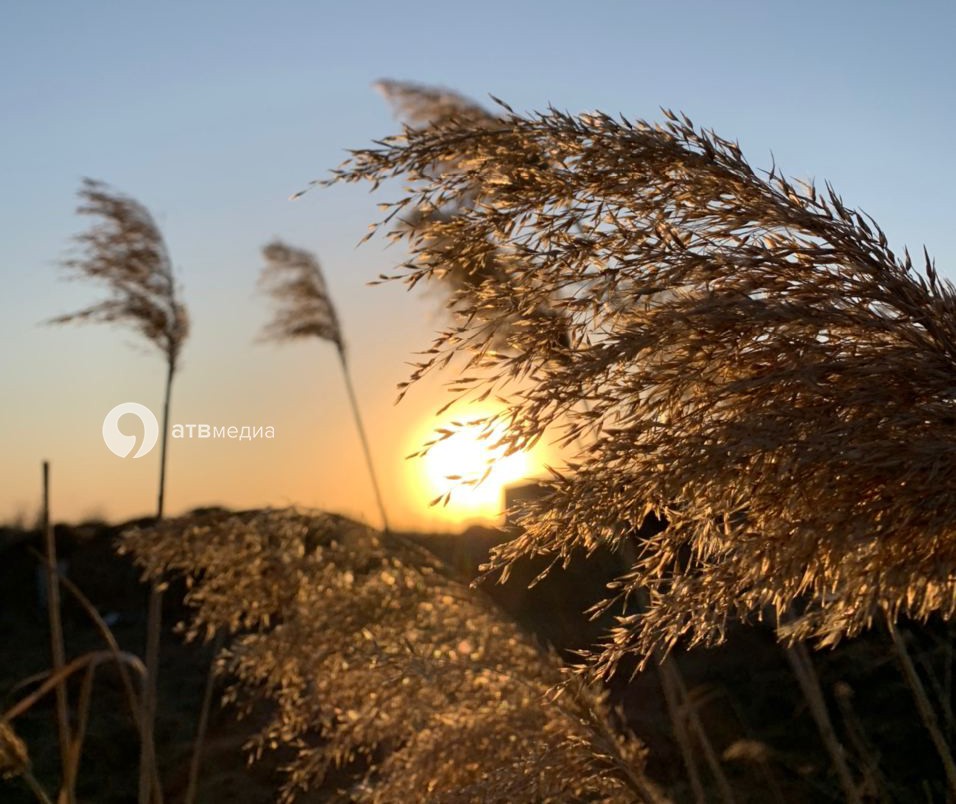 На Ставрополье на выходные прогнозируют сильный ветер и небольшой дождь