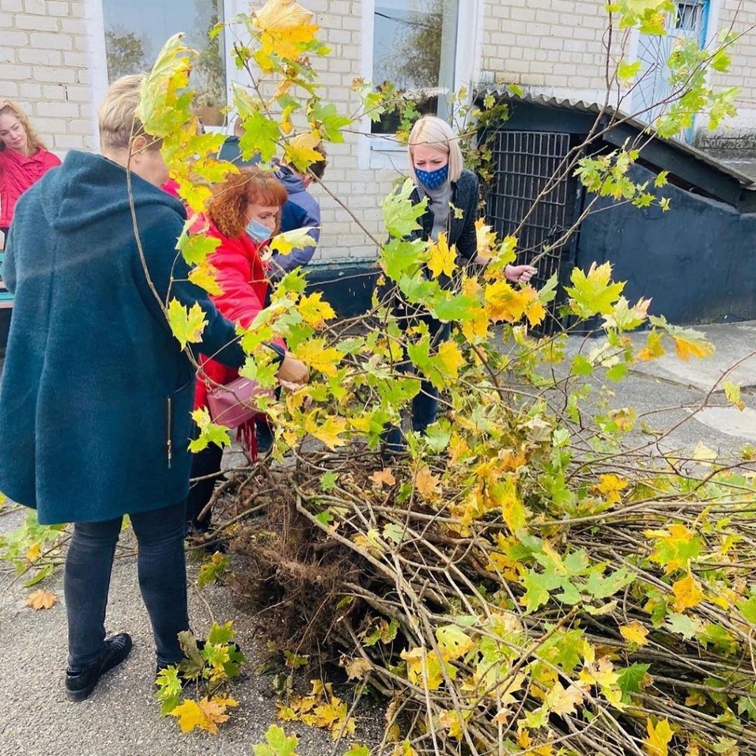 В Невинномысске высадят более 300 кленов в детсадах и школах В Невинномысске высадят более 300 кленов в детсадах и школах