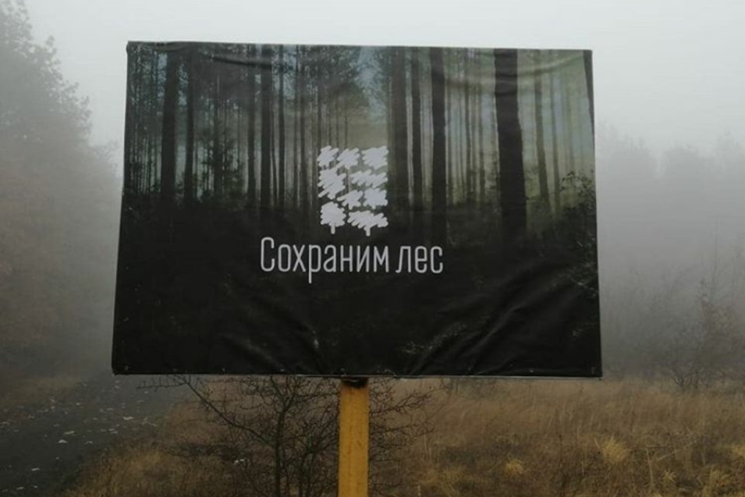 В ставропольском лесу высадили 50 ясеней