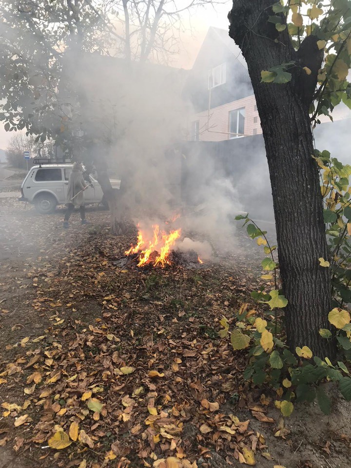В Железноводске любителей жечь осеннюю листву оштрафовали В Железноводске любителей жечь осеннюю листву оштрафовали