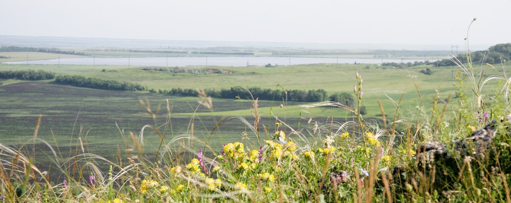 Вшивое озеро в Ставрополе сможет снова наполниться водой Вшивое озеро в Ставрополе сможет снова наполниться водой