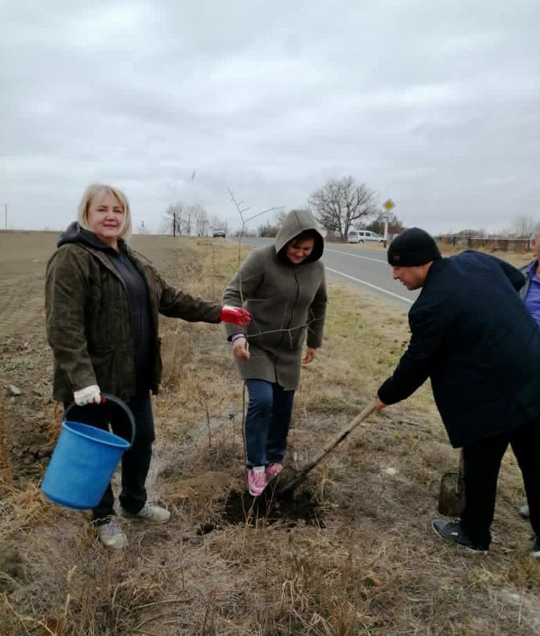 На Ставрополье высадили 75 лип в рамках акции «Сад памяти»