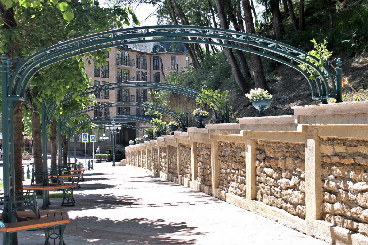 На Ставрополье развивают вертикальное озеленение На Ставрополье развивают вертикальное озеленение