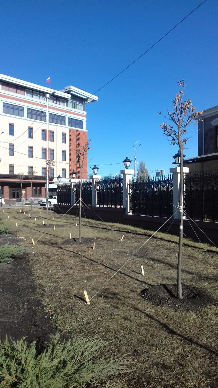 В Ессентуках кризисный центр помощи женщинам получил в подарок ноутбук и продукты В Ессентуках кризисный центр помощи женщинам получил в подарок ноутбук и продукты