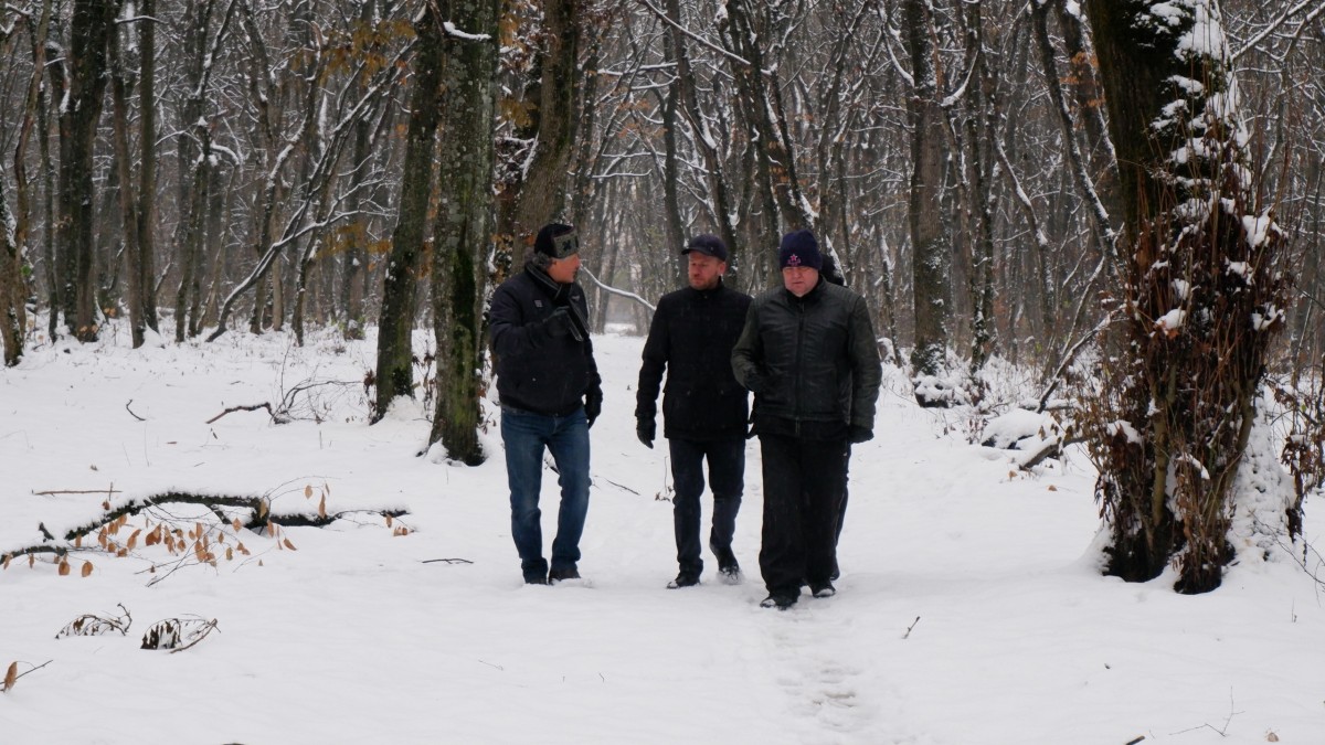 В Ставрополе планируют создать новый лесопарк