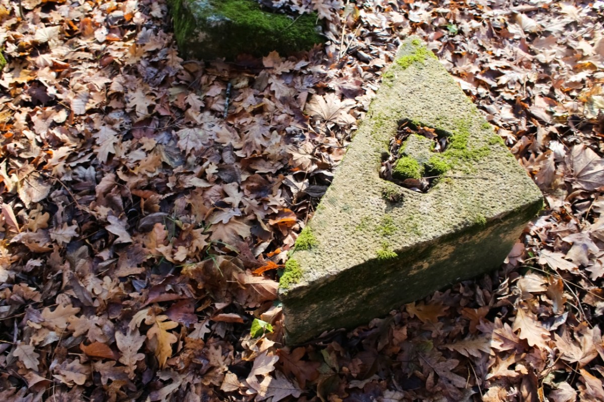 В Железноводске восстановят старинный каменный компас В Железноводске восстановят старинный каменный компас