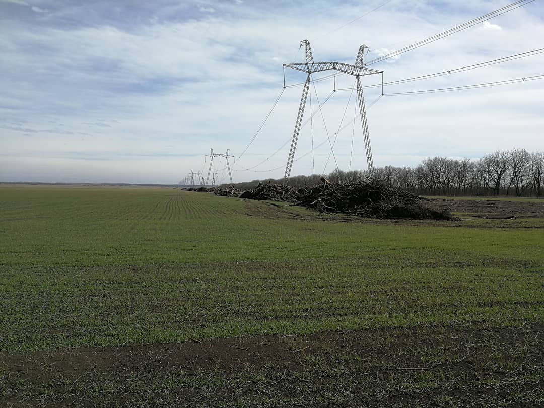 На Ставрополье в Минераловодском горокруге вырубили лес на 7 млн рублей На Ставрополье в Минераловодском горокруге вырубили лес на 7 млн рублей