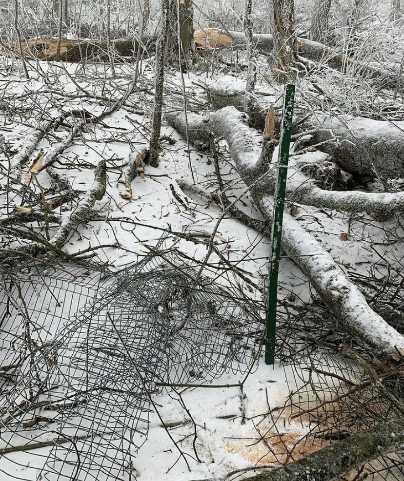 В Железноводске урон от обледенения оценит специальная комиссия